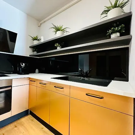 Lägenhet Kharisma Apartment-free Parking-ultracentral Cluj-Napoca